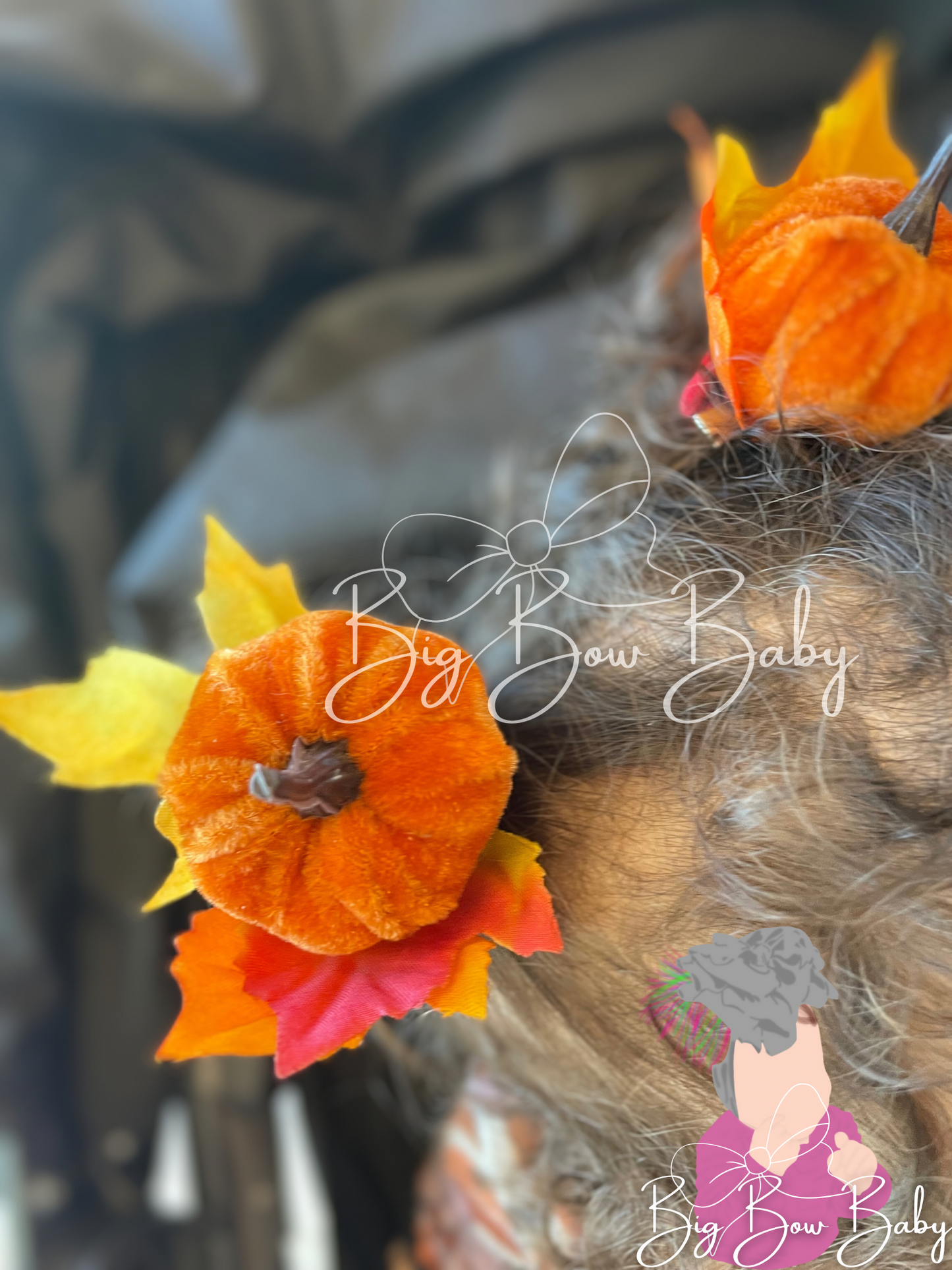 Pumpkin Piggies π - Clip or Nylon