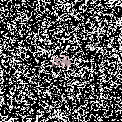 Composition Notebook 📓