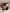 Patriotic Flower Crown 🇺🇸 🌹 (Light Up Option)