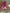 Barbie Single Sailor 5”