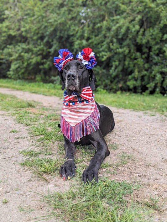 Red, White & Cute - Texas Shredded Holos (Choose Add On options)