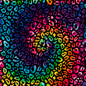 Leopard Rainbow 🌈