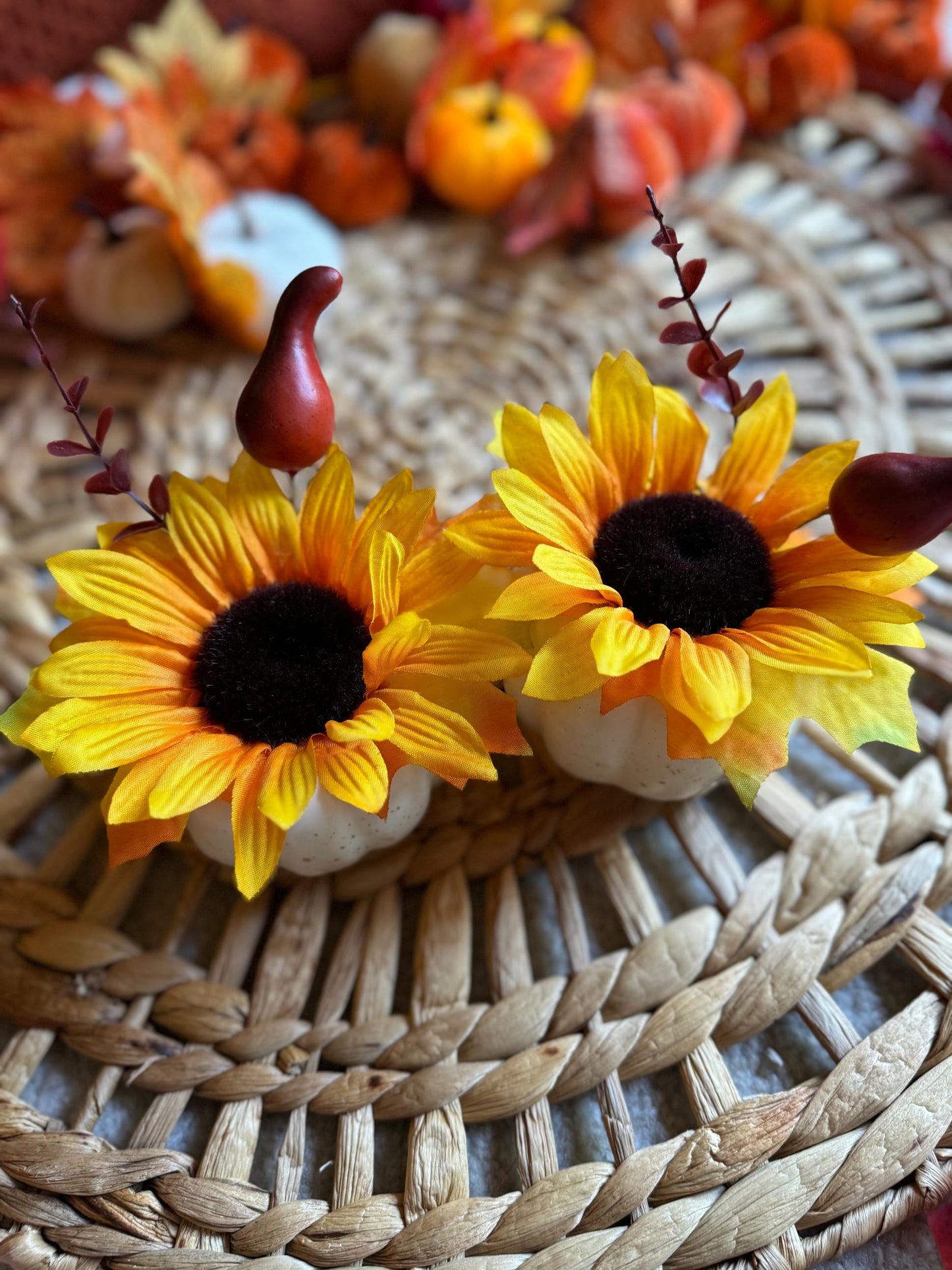 Sunflower Piggies 🌻 (Oversized)