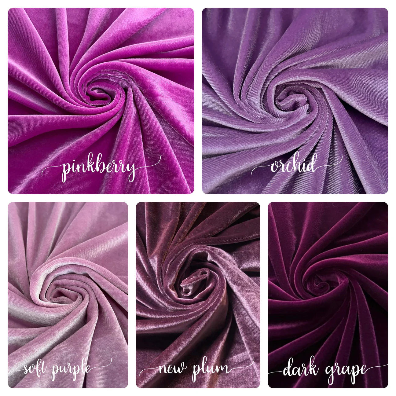 Purples - Velvet