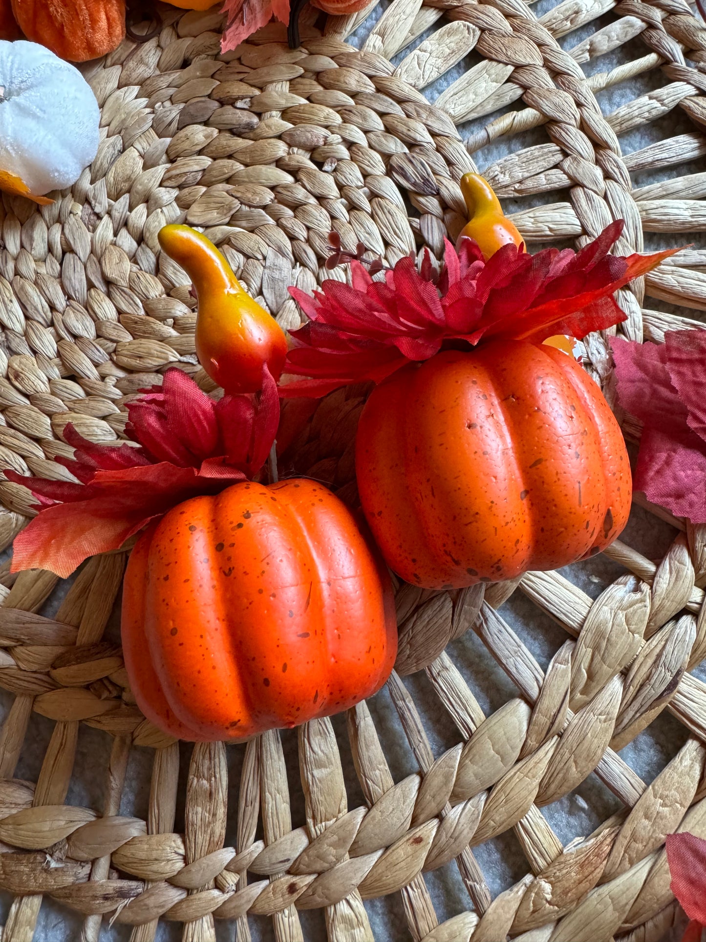 Pumpkin Patch Piggies 🎃 (Oversized)