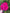 Fuchsia Butterfly