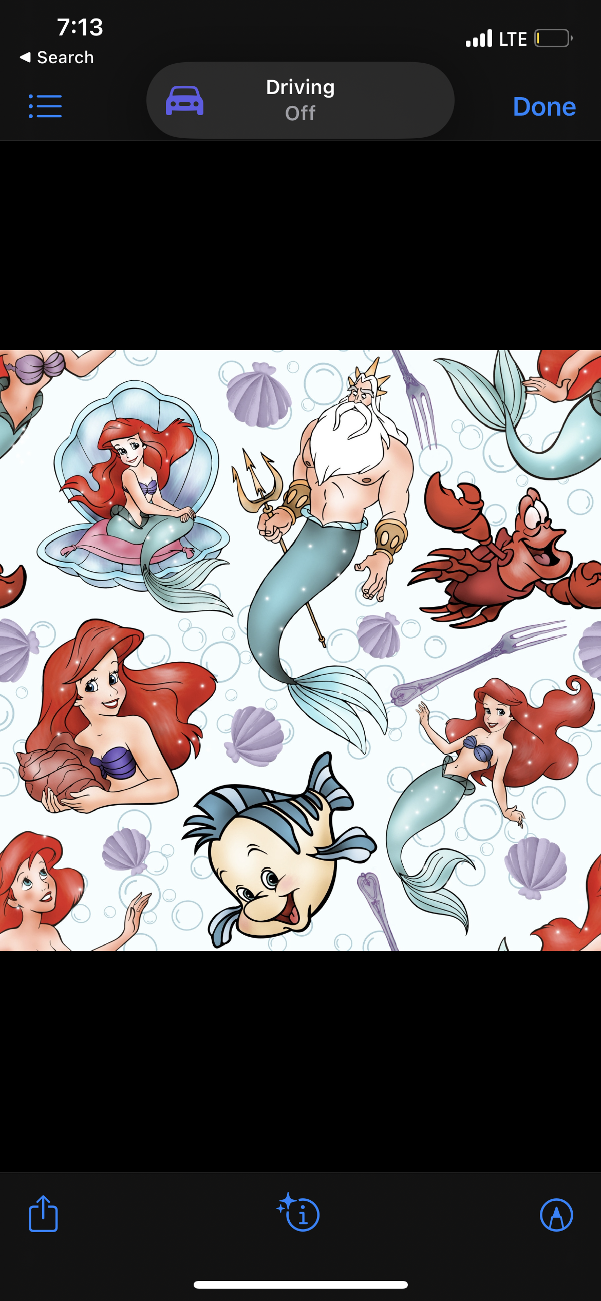 Mermaid & Friends 🧜‍♀️