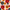 Red/Blue/Yellow Floral - Pick Your Style