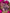 💖 The Pink Box 💖 - Oversized